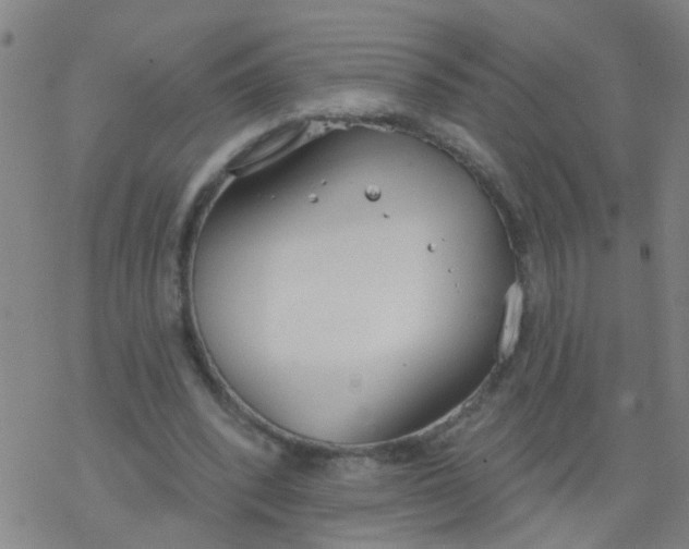 X0000077400392200611101825