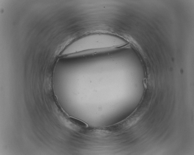 X0000077400393200611101825