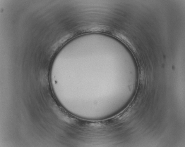 X0000077400394200611101825