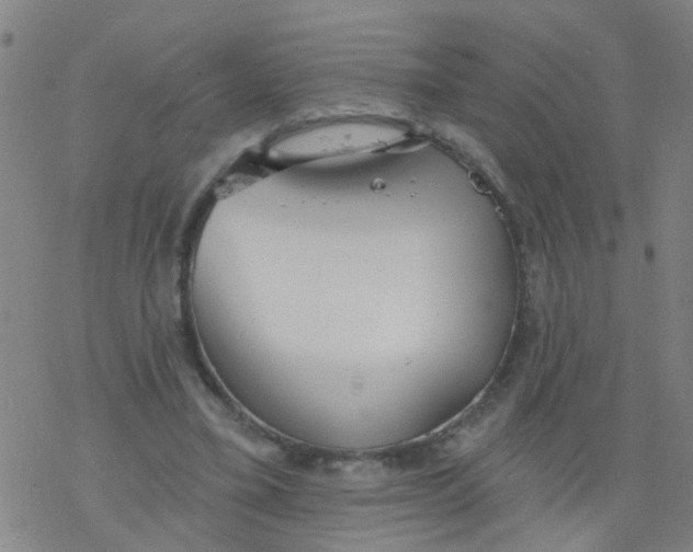 X0000077400395200611101825