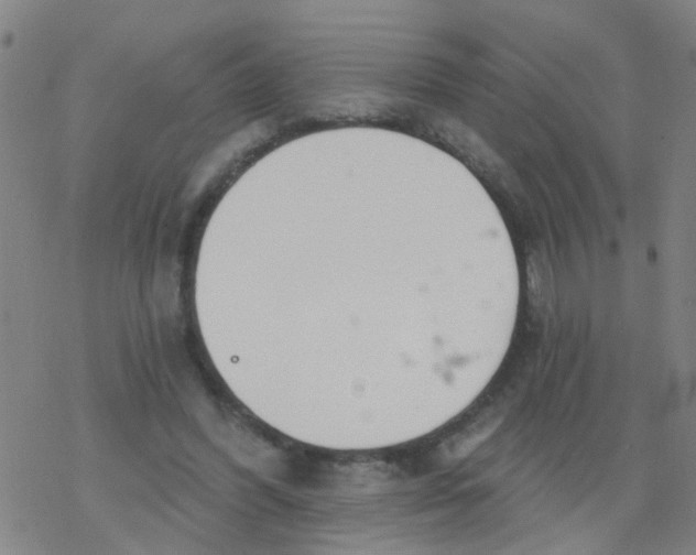 X0000077400396200611101825