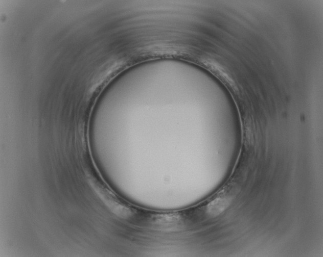 X0000077400398200611101825