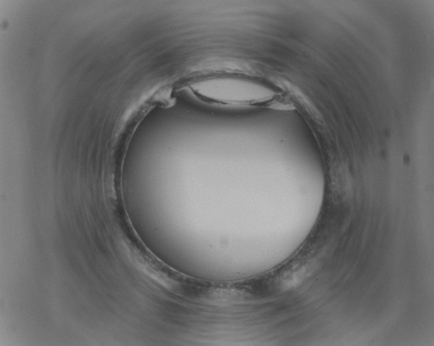 X0000077400399200611101825