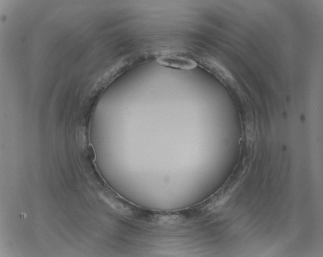 X0000077400401200611101825