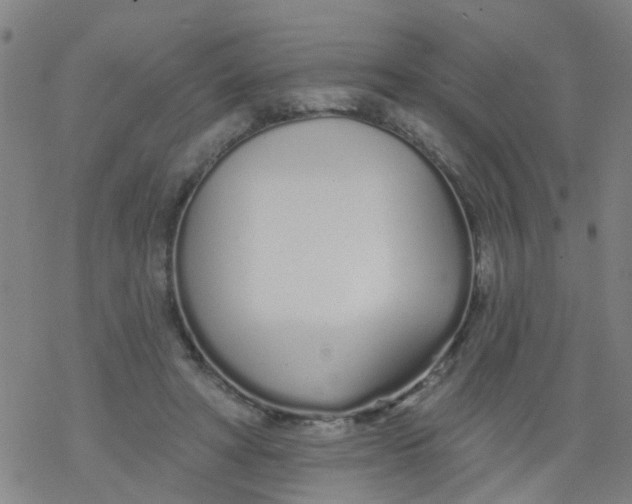 X0000077400402200611101825