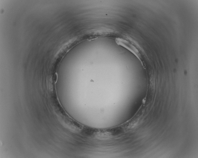 X0000077400403200611101825