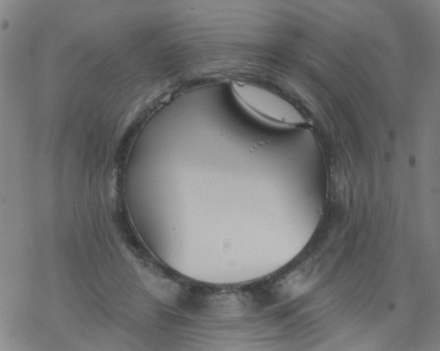 X0000077400404200611101825