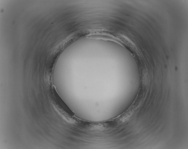 X0000077400405200611101825