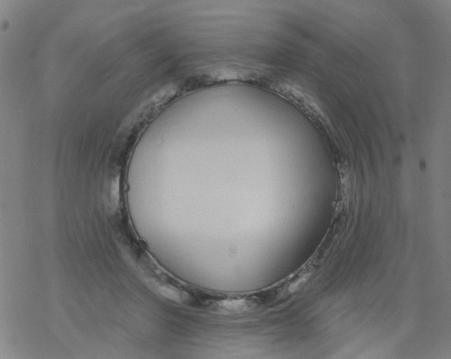 X0000077400406200611101825