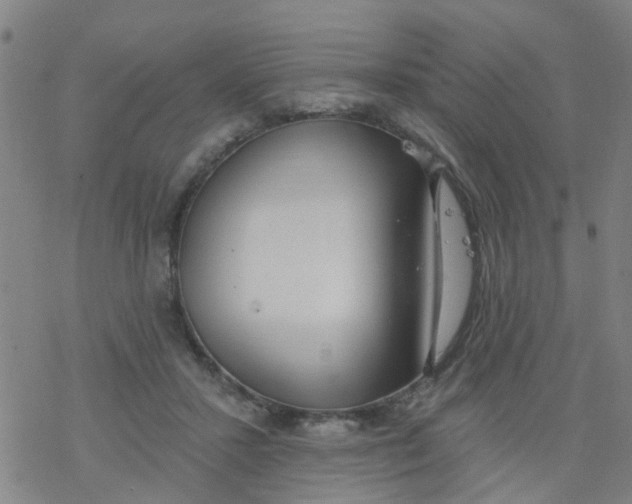 X0000077400407200611101825