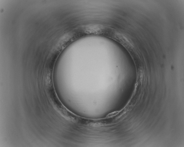 X0000077400408200611101825