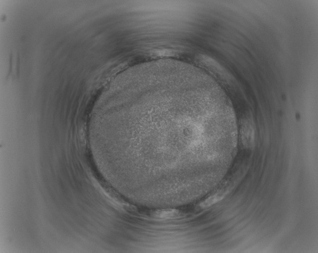 X0000077400410200611101825