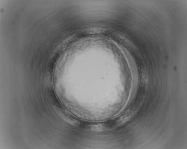 X0000077400411200611101825