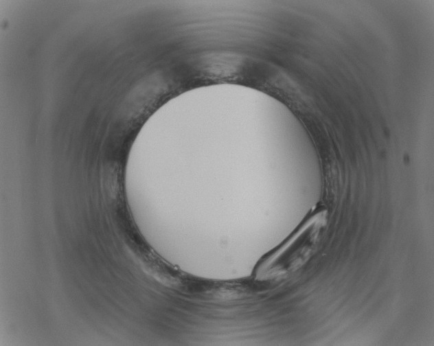 X0000077400412200611101825