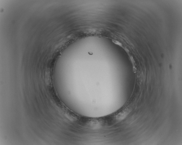 X0000077400416200611101825