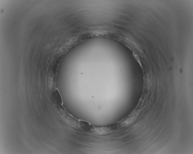 X0000077400417200611101825