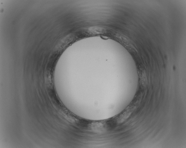 X0000077400418200611101825