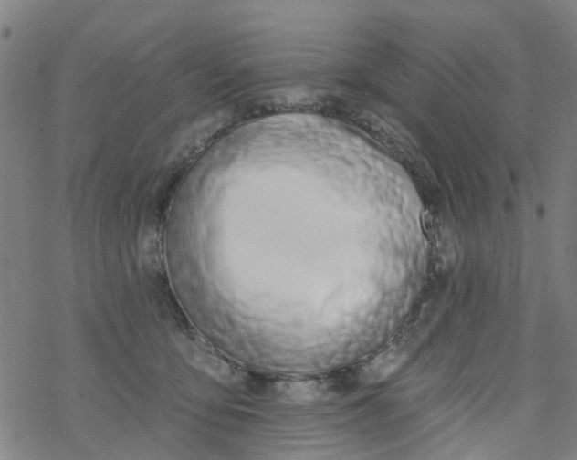 X0000077400419200611101825