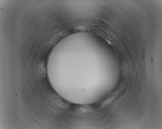 X0000077400420200611101825