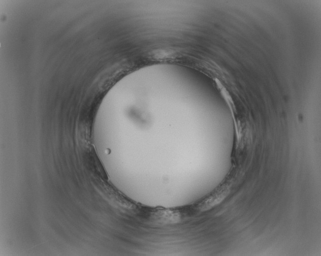 X0000077400421200611101825