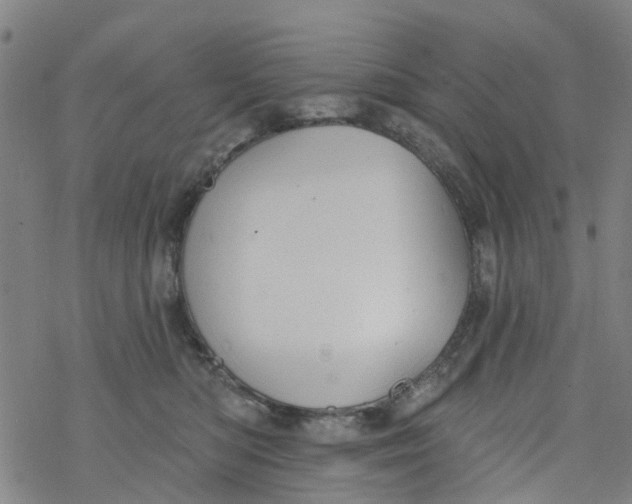 X0000077400422200611101825