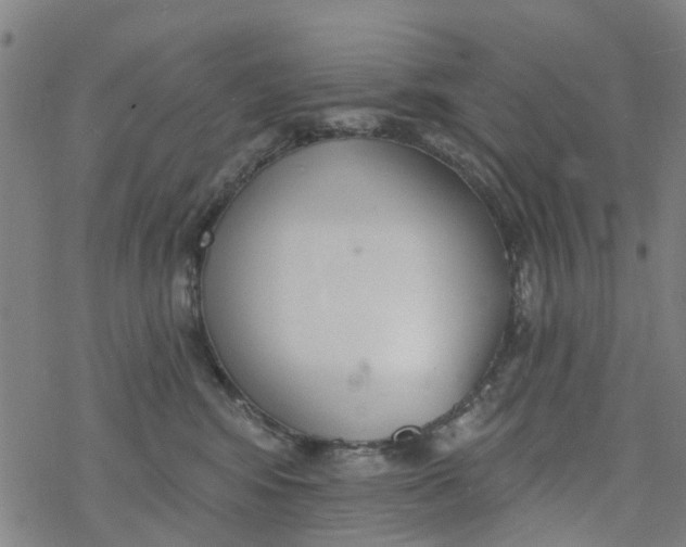 X0000077400424200611101825