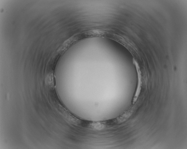 X0000077400425200611101825