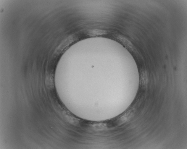 X0000077400426200611101825