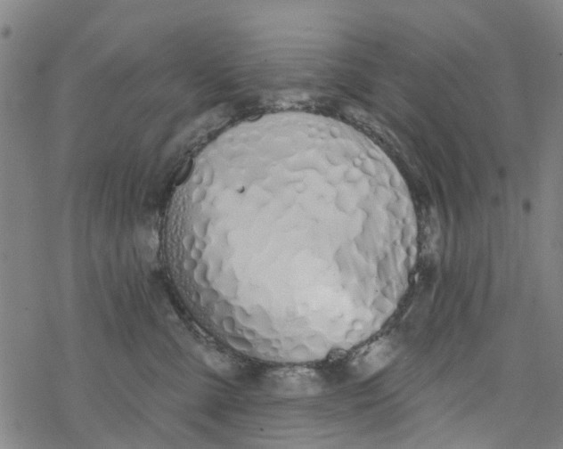 X0000077400427200611101825