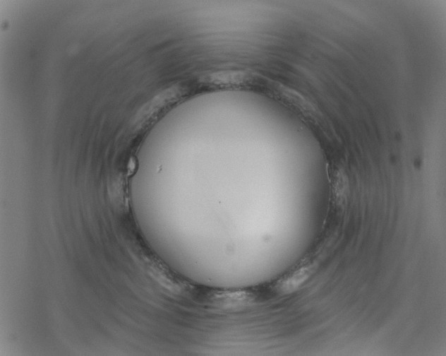 X0000077400428200611101825