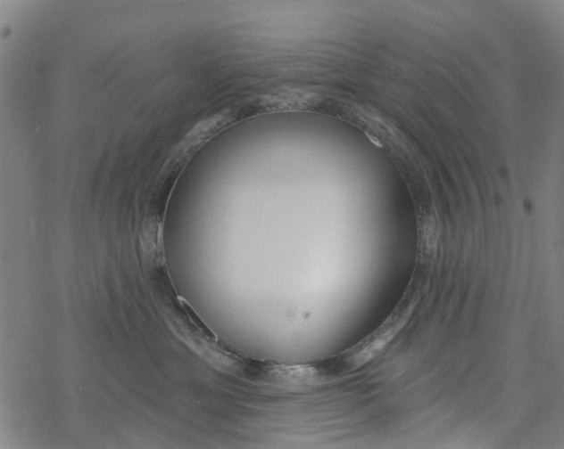 X0000077400429200611101825