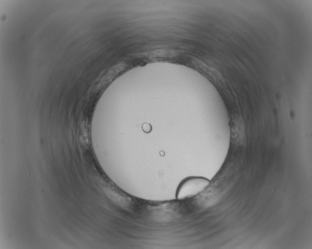 X0000077400430200611101825