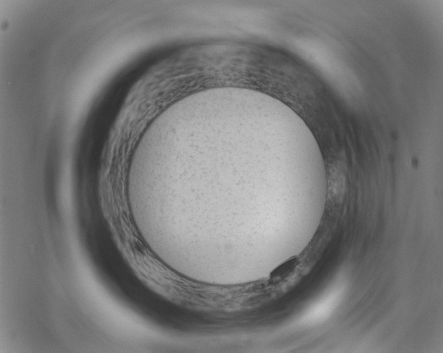 X0000077400431200611101825