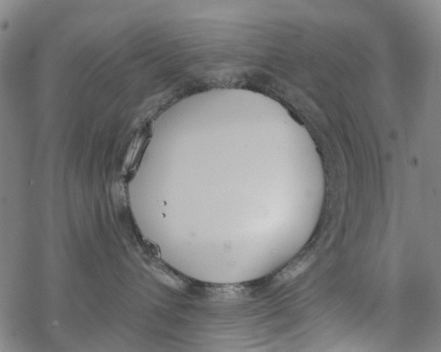 X0000077400432200611101825