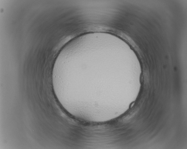 X0000077400433200611101824