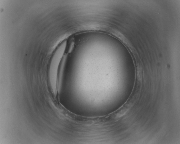 X0000077400434200611101824