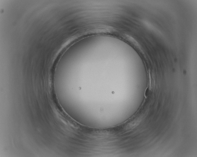 X0000077400435200611101824