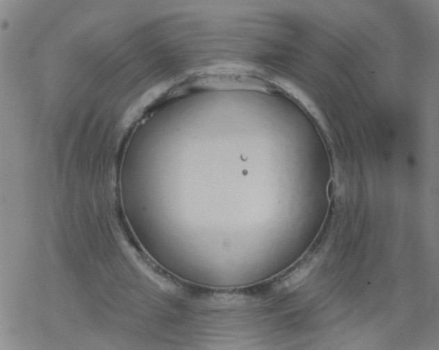 X0000077400437200611101824