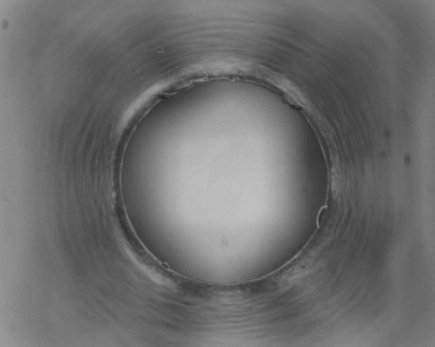 X0000077400438200611101824