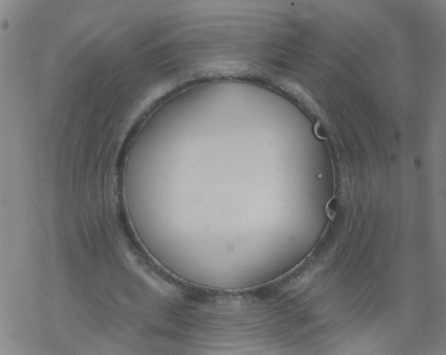 X0000077400439200611101824