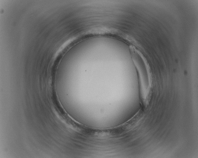 X0000077400440200611101824