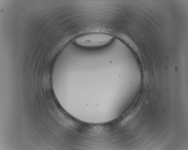 X0000077400441200611101824