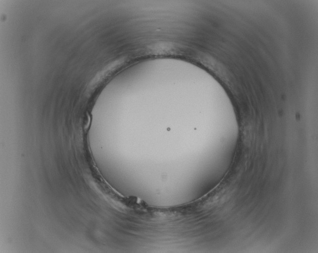 X0000077400442200611101824