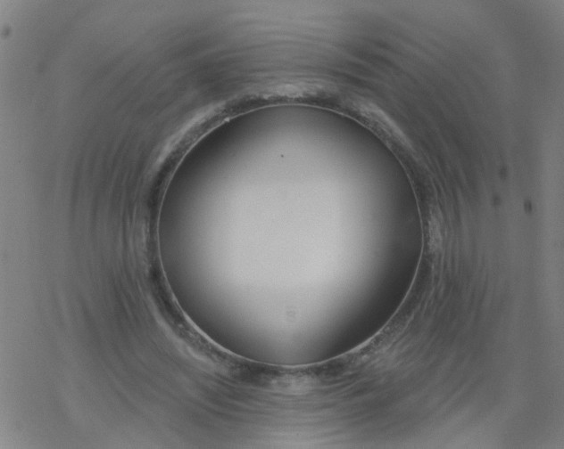 X0000077400444200611101824