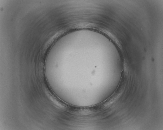 X0000077400445200611101824