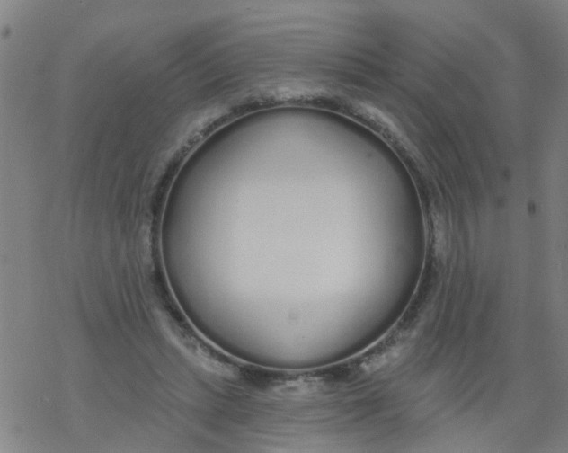 X0000077400447200611101824