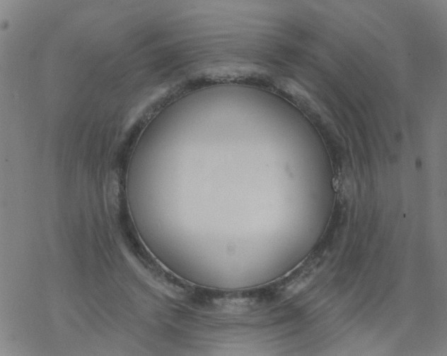 X0000077400448200611101824