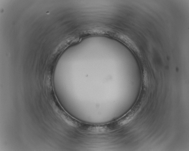 X0000077400449200611101824