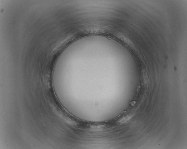 X0000077400450200611101824