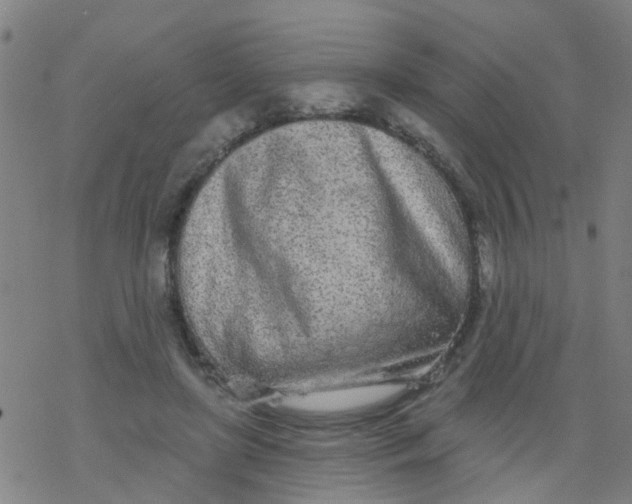 X0000077400451200611101824